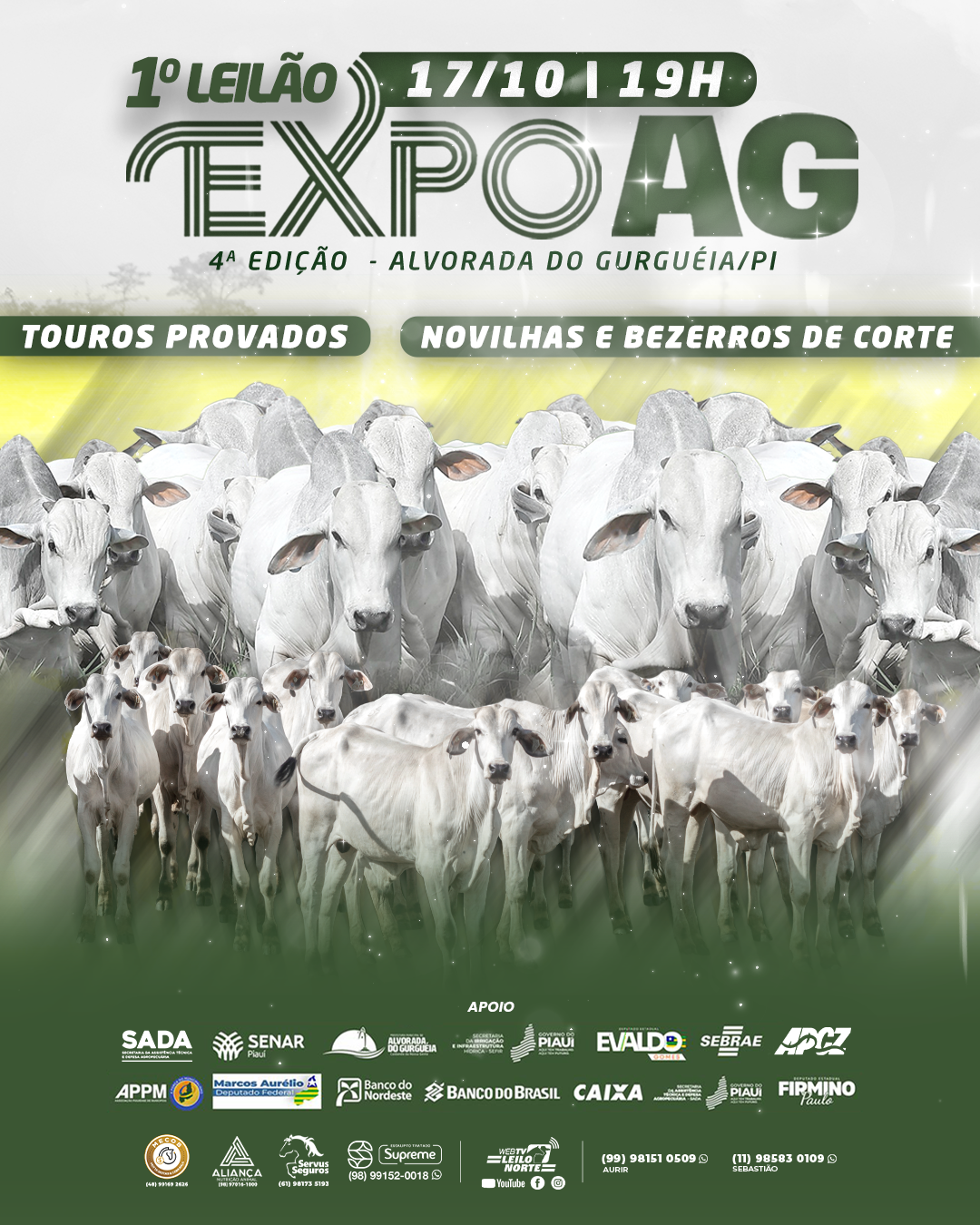 Expo AG